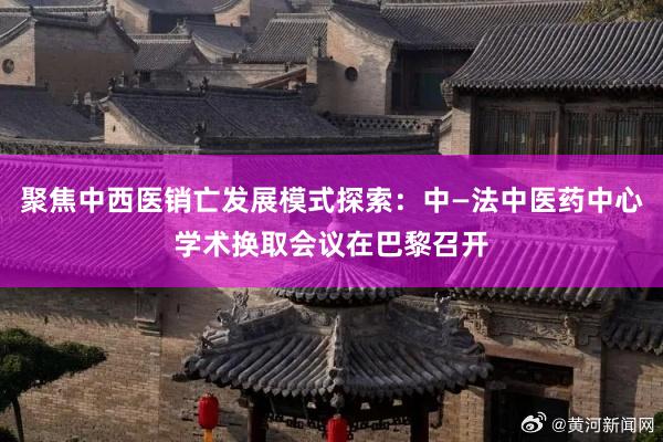 聚焦中西医销亡发展模式探索：中—法中医药中心学术换取会议在巴黎召开